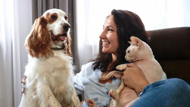 Nowy obowiązek dla właścicieli czworonogów...