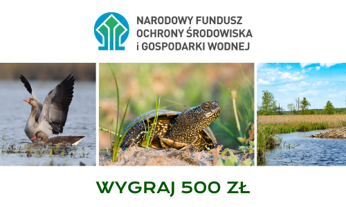 Naturalne Piękno
